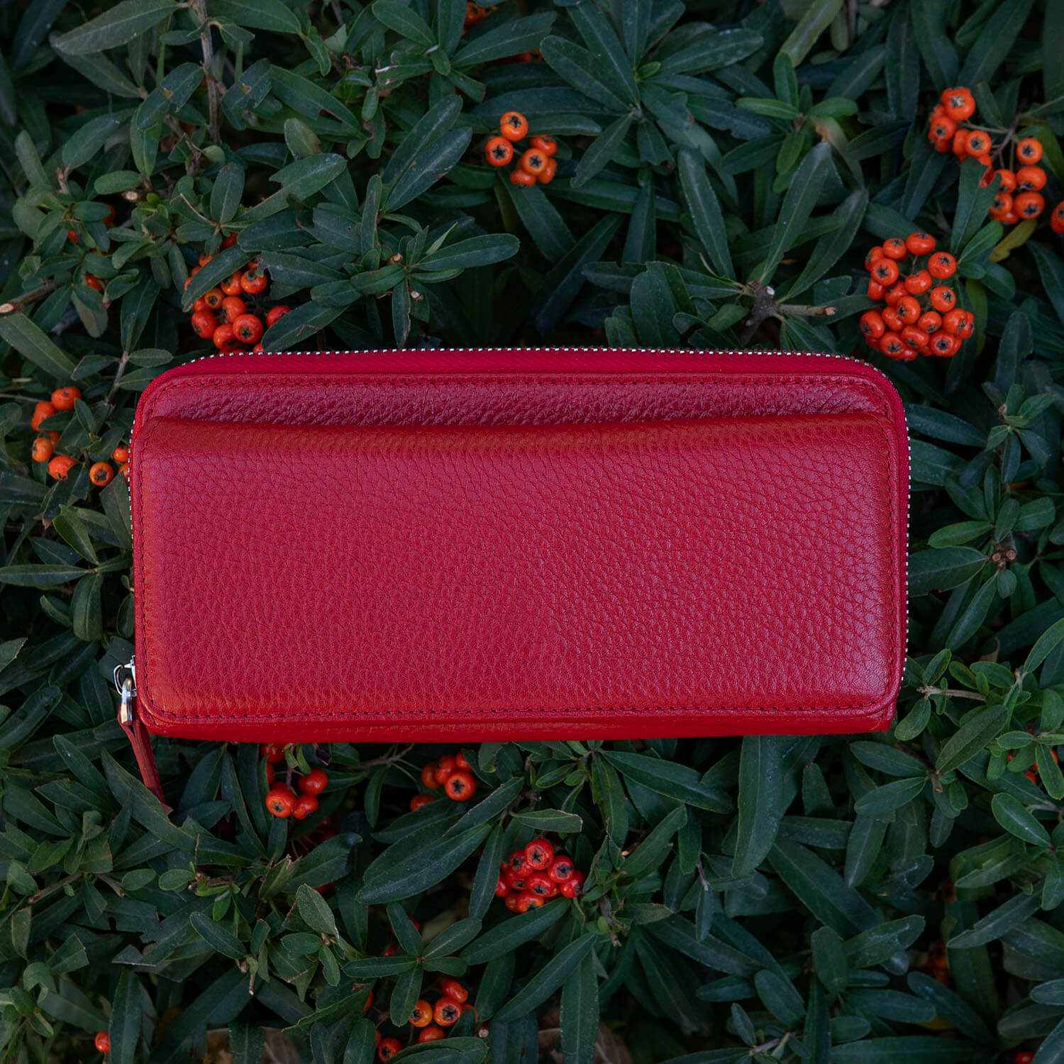 Premium Multi-Card Leather Wallet - Red - Surprise